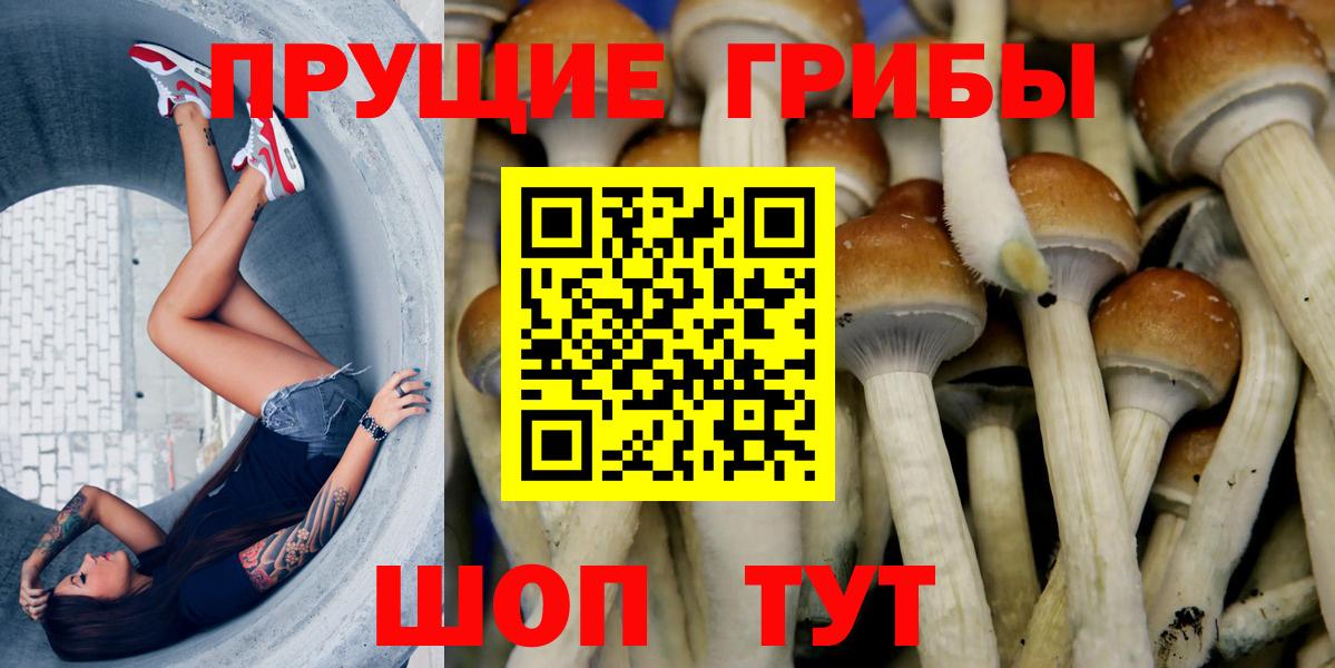 Псилоцибиновые грибы GOLDEN TEACHER Ревда