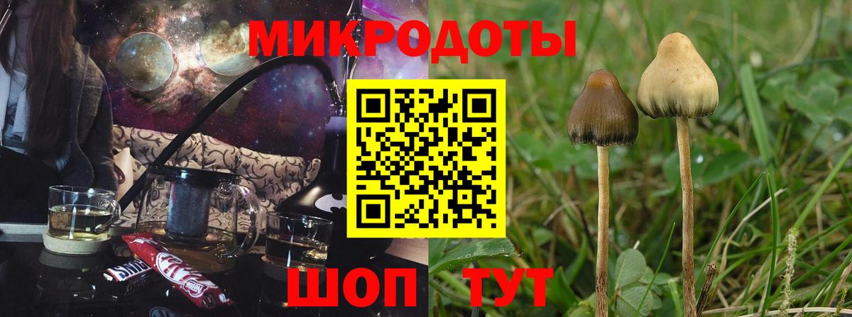 Псилоцибиновые грибы ЛСД  Вход с VPN  Ревда 